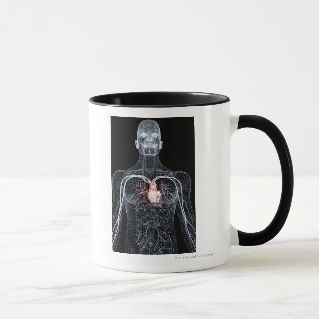 Wireframe of the blood vessels in the upper body mug (Right)