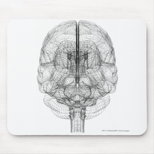 Wireframe of the brain mouse pad (Front)