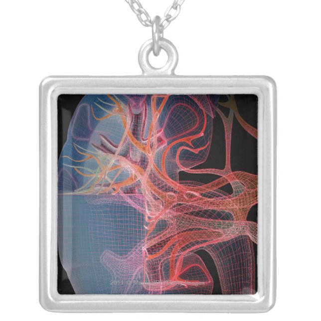 Wireframe of the inside of a kidney silver plated necklace (Front)