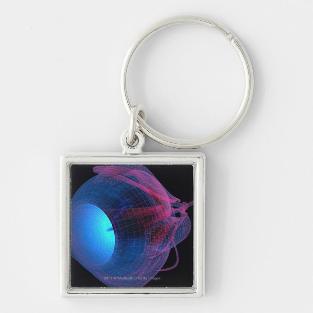 Wireframe of the muscles of the eye key ring (Front)