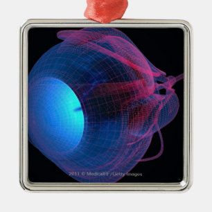 Wireframe of the muscles of the eye metal tree decoration