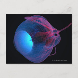 Wireframe of the muscles of the eye postcard