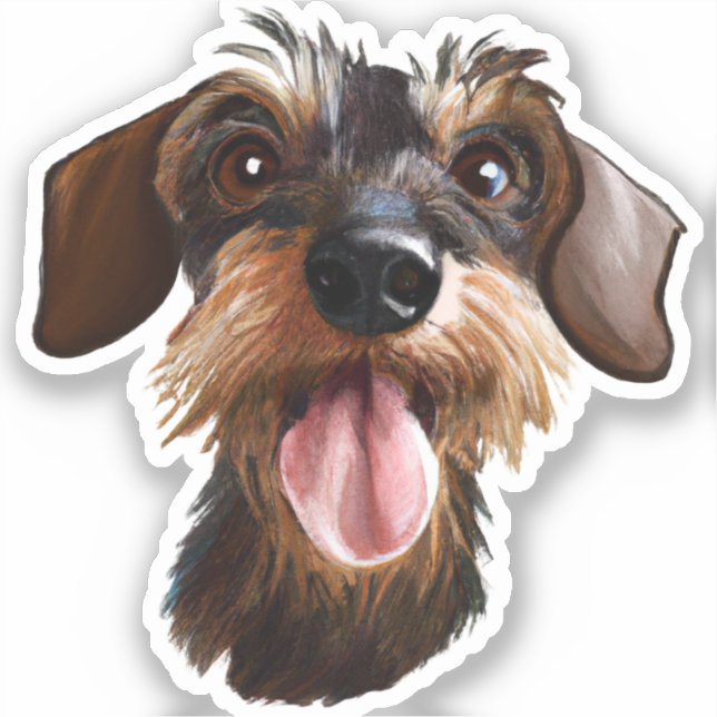Wirehair Dachshund (Front)