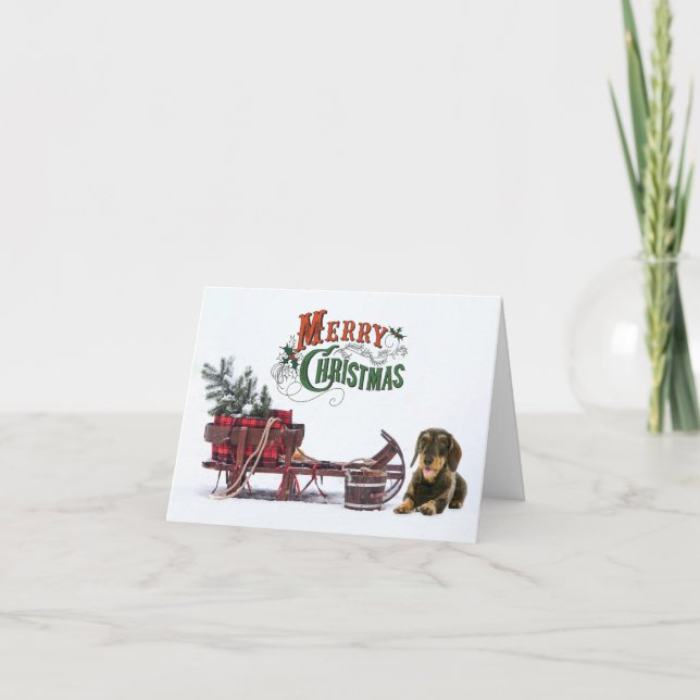 Wirehair Dachshund Christmas Holiday Card (Front)