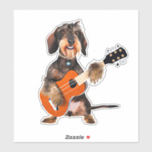 Wirehair Dachshund Playing Acoustic Guitar
