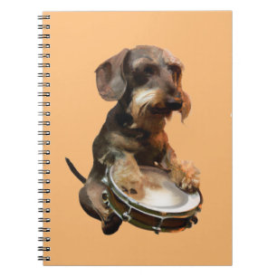 Wirehair Dachshund Playing Drums Notebook