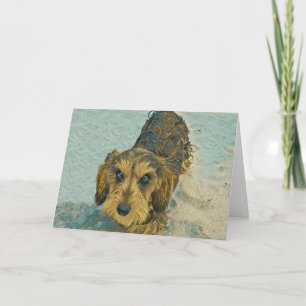 wirehaired dachshund card