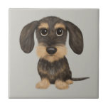 Wirehaired Dachshund | Cute Cartoon Dog Teckel Ceramic Tile<br><div class="desc">Wirehaired wild boar and tan coloured Teckel. Visit Jenn's Doodle World for even more accessories for home and office with this funny Dachshund and more original wiener dog designs.</div>