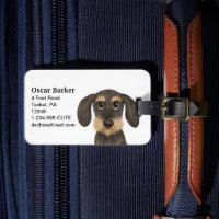 Wirehaired Dachshund | Cute Cartoon Dog Teckel