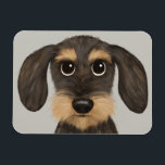 Wirehaired Dachshund | Cute Cartoon Dog Teckel Magnet<br><div class="desc">A fun kitchen magnet for wire haired Dachshund lovers. Wild boar and tan colored Teckel. Visit Jenn's Doodle World for even more accessories for home and office with this funny dog and more original wiener dog designs.</div>