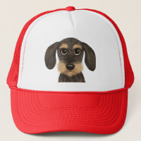 Wirehaired Dachshund | Cute Cartoon Dog Teckel