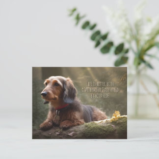 Wirehaired Dachshund in Forest Postcard