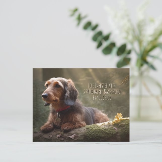 Wirehaired Dachshund in Forest Postcard (Standing Front)