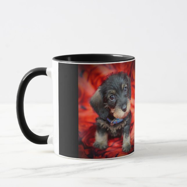 wirehaired dachshund puppy coffee mug (Left)