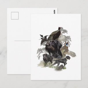 Wirehaired Pointer , Outdoors Hunting Postcard