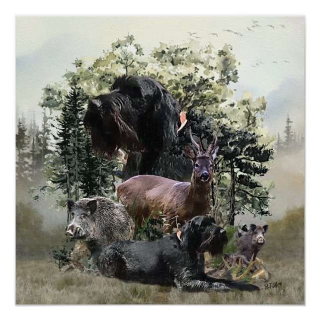 Wirehaired Pointer ,  Outdoors Hunting Poster (Front)