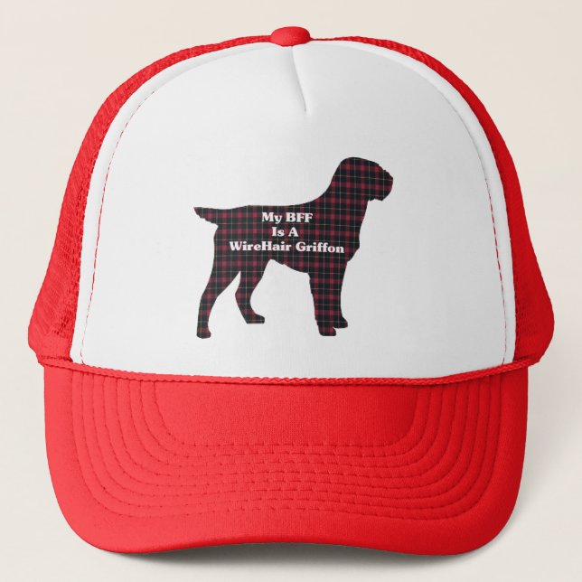 WIREHAIRED POINTING GRIFFON BFF Gifts Trucker Hat (Front)
