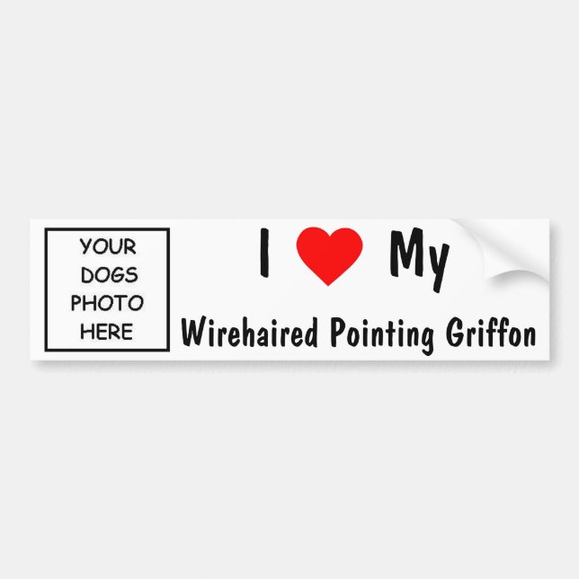 Wirehaired Pointing Griffon Bumper Sticker (Front)
