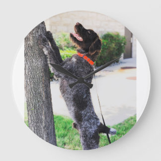 Wirehaired Pointing Griffon Clock