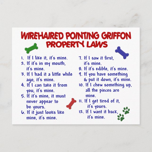 WIREHAIRED POINTING GRIFFON Property Laws 2 Postcard (Front)
