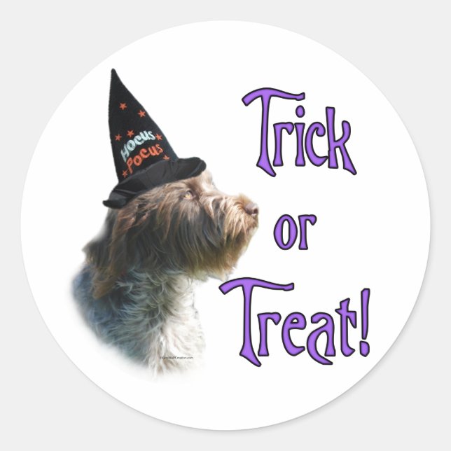 Wirehaired Pointing Griffon Trick Classic Round Sticker (Front)
