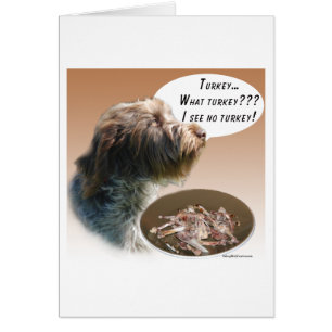 Wirehaired Pointing Griffon Turkey