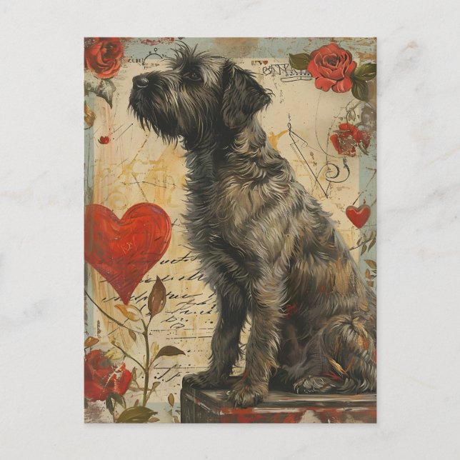 Wirehaired pointing griffon Valentine's day Postcard (Front)
