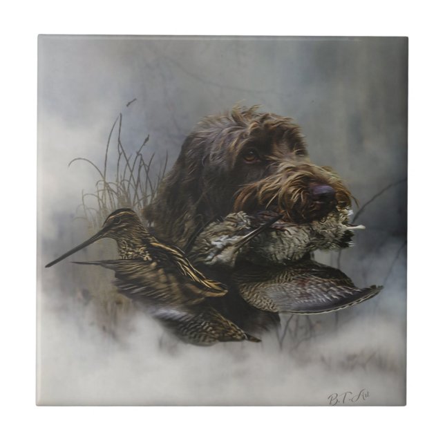 Wirehaired Pointing Griffon , Woodcock hunting    Ceramic Tile (Front)