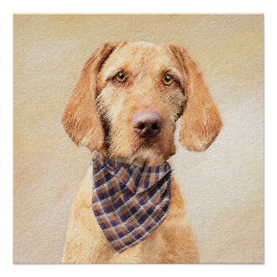 Wirehaired Vizsla Painting - Cute Original Dog Art Poster