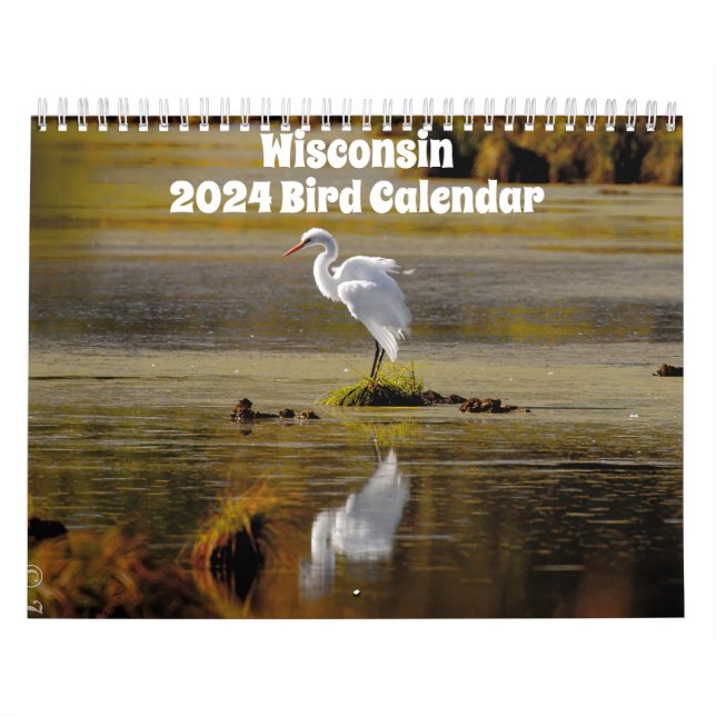 Wisconsin Birds Calendar 2024 (Cover)