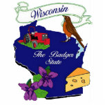 WISCONSIN COLORS STANDING PHOTO SCULPTURE<br><div class="desc">State of Wisconsin symbols and icons , state bird, farming, cheese.state flower, the badger state on a blue state background image</div>