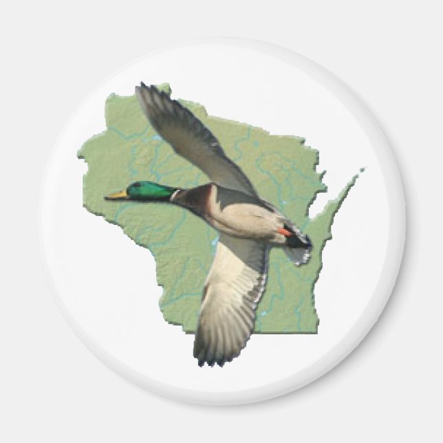 Wisconsin duck magnet (Front)