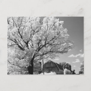 Wisconsin Farm Postcard