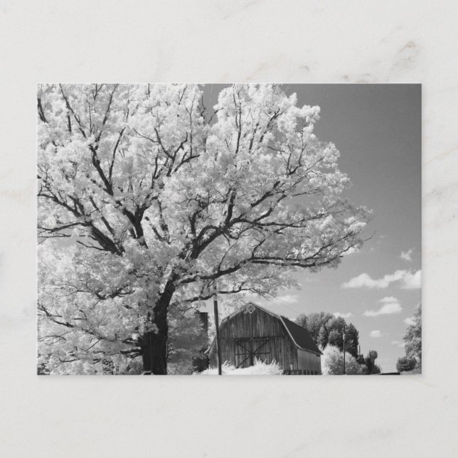 Wisconsin Farm Postcard (Front)