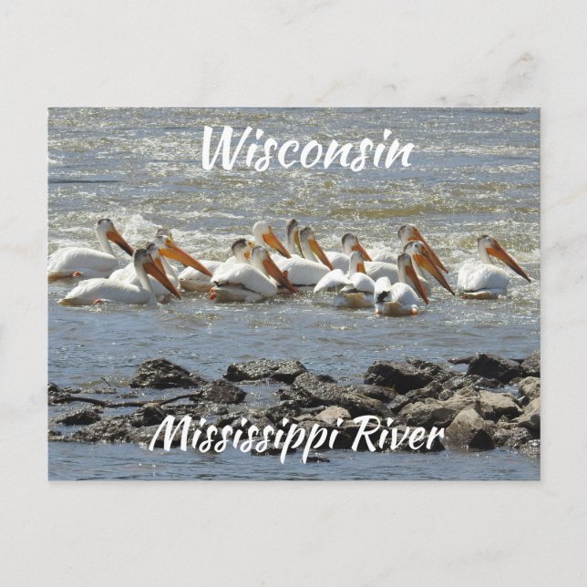 Wisconsin, Mississippi River Memorabilia Postcard (Front)