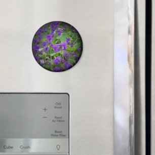 Wisconsin State Flower: Wood Violet spotlight Magnet