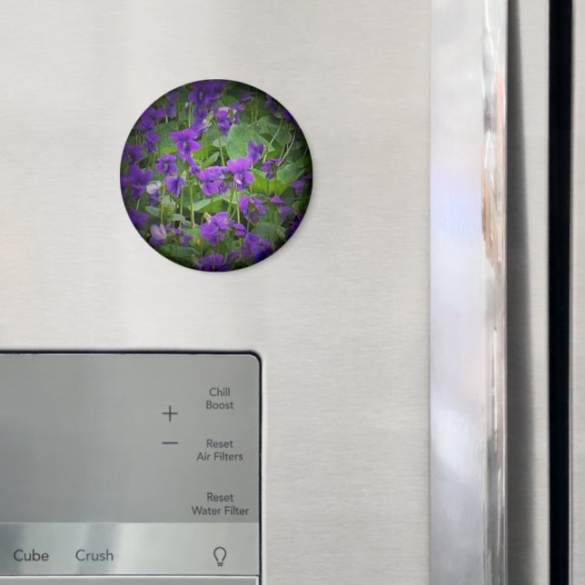 Wisconsin State Flower: Wood Violet spotlight Magnet (In Situ (Fridge))