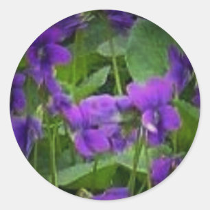 Wisconsin State Flower: Wood Violet Sticker
