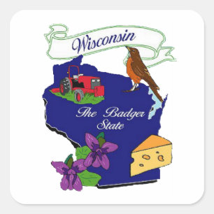 Wisconsin State Square Sticker
