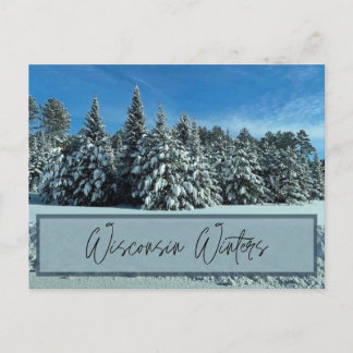 Wisconsin Winters  Postcard