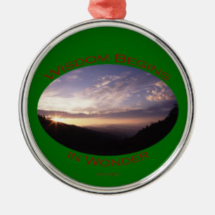 Wisdom Begins in Wonder Metal Tree Decoration
