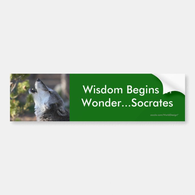 Wisdom Bumper Sticker (Front)