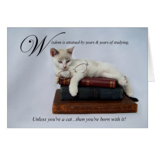 Wisdom (cat) Card