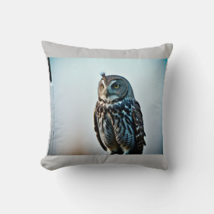 Wisdom Cushion