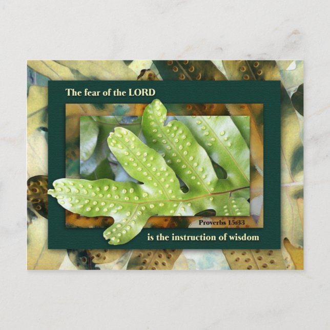 Wisdom from the Lord Postcard (Front)