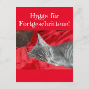 Wisdom&Humor Hygge ..! Cat sleeps in red Postcard