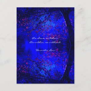 Wisdom Quote   Blue Forest Reflection Postcard