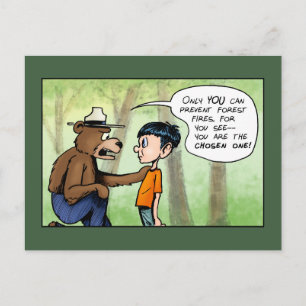 Wise Bear Chose One Postcard