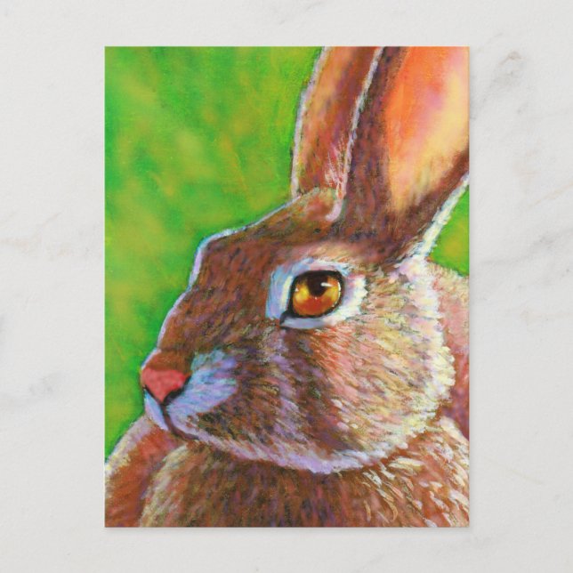 Wise Bunny Postcard (Front)