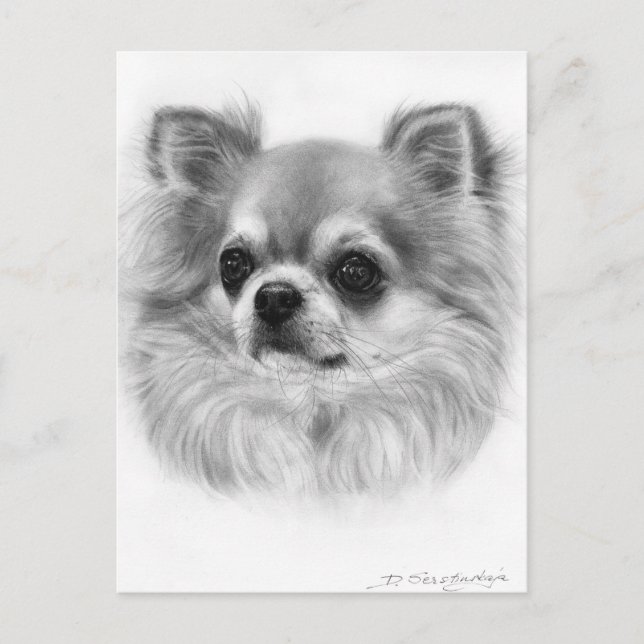Wise Eyes Hand Painted Chihuahua Portrait Postcard (Front)